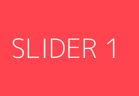 SLIDER 1